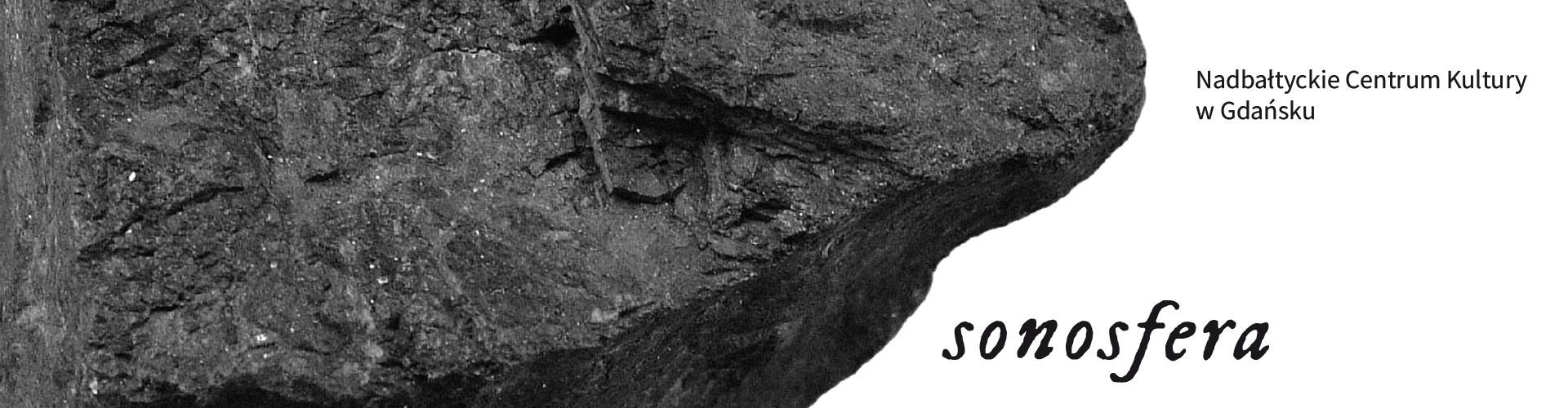 grafika rysunek skali, napis "Sonosfera"