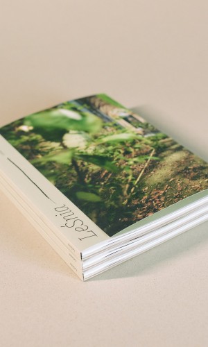 zdjęcie książki LeŚnia na janym tle