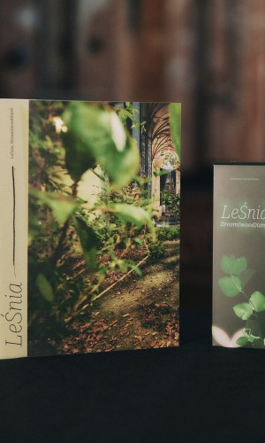 zdjęcie książki i kartonika z dyfuzorem zapachowym LeŚnia