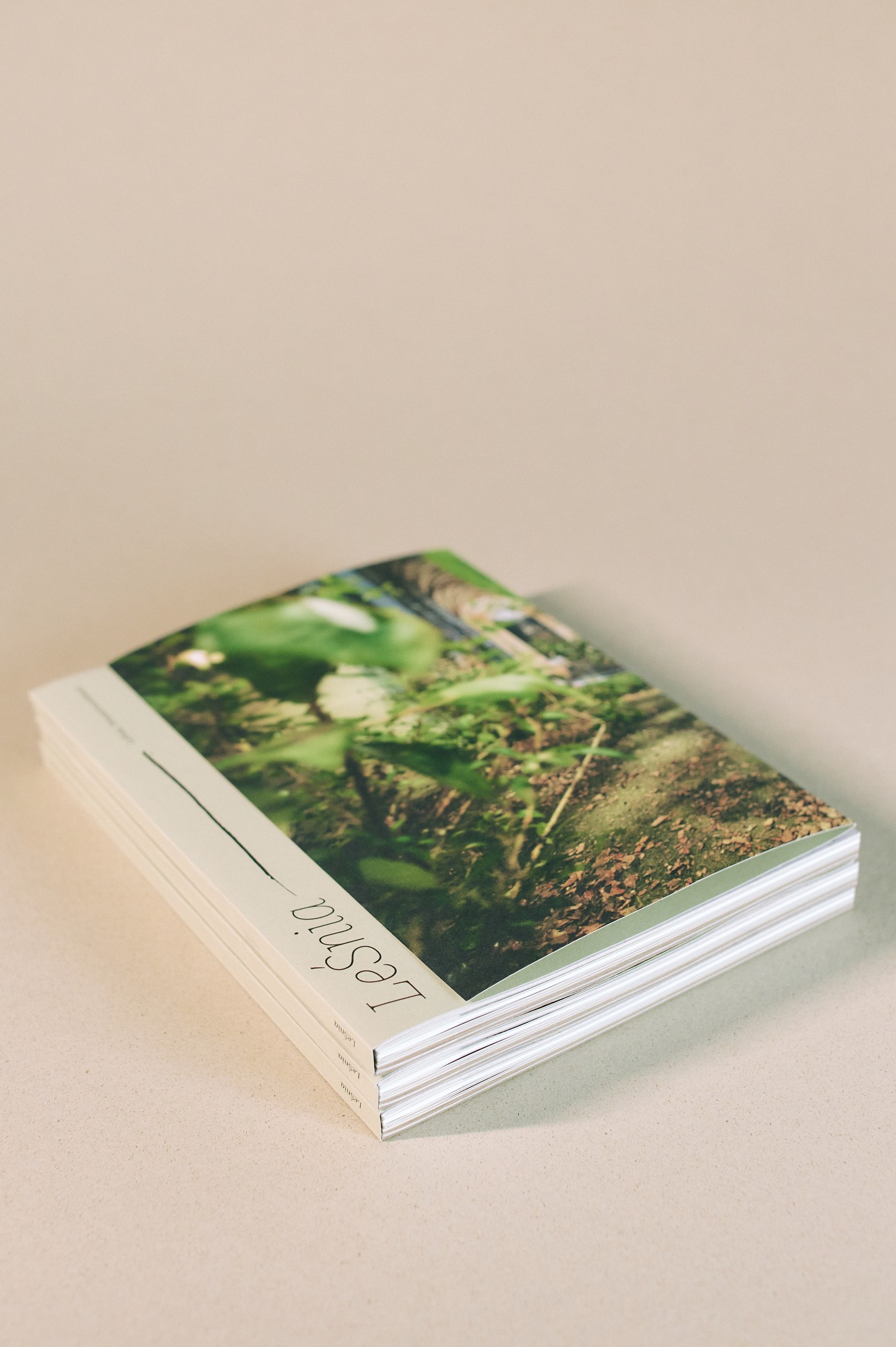 zdjęcie książki LeŚnia - jasne tło