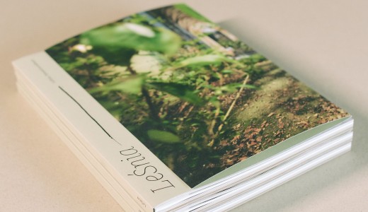 zdjęcie książki LeŚnia na janym tle