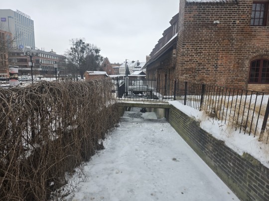 zimowy krajobraz okolice starego miasta w Gdańsku 