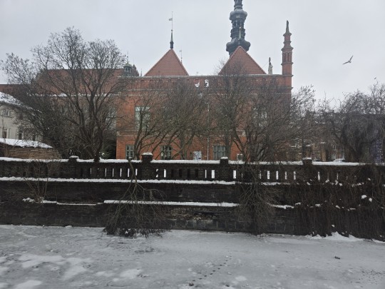 zimowy krajobraz okolice starego miasta w Gdańsku Ratusz Staromiejski 