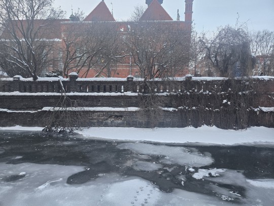 zimowy krajobraz okolice starego miasta w Gdańsku 