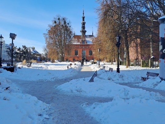 zimowy krajobraz okolice starego miasta w Gdańsku 