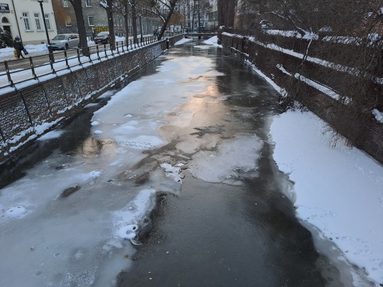 zimowy krajobraz okolice starego miasta w Gdańsku kanał Raduni 
