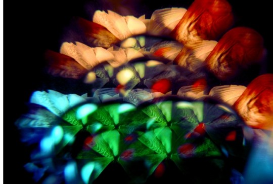 foto by Aga Lendzion