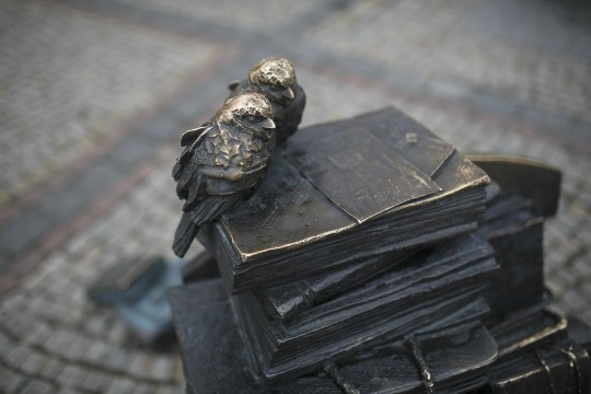 Fot. Łukasz Głowala
