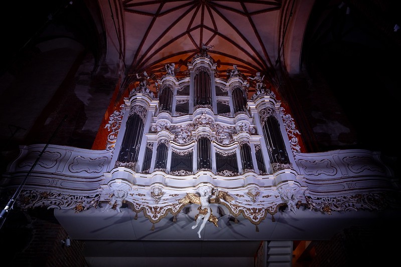 zdjęcie organów 