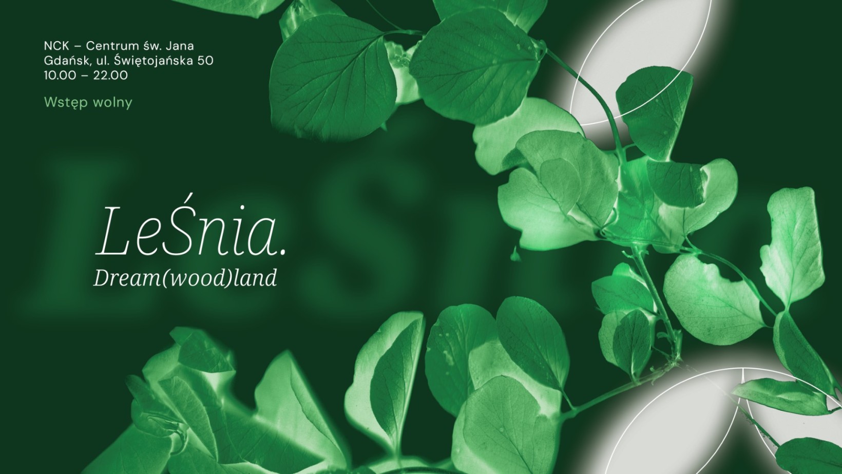ciemnozielona grafika, zdjęcie lości, w tle blask księżyca