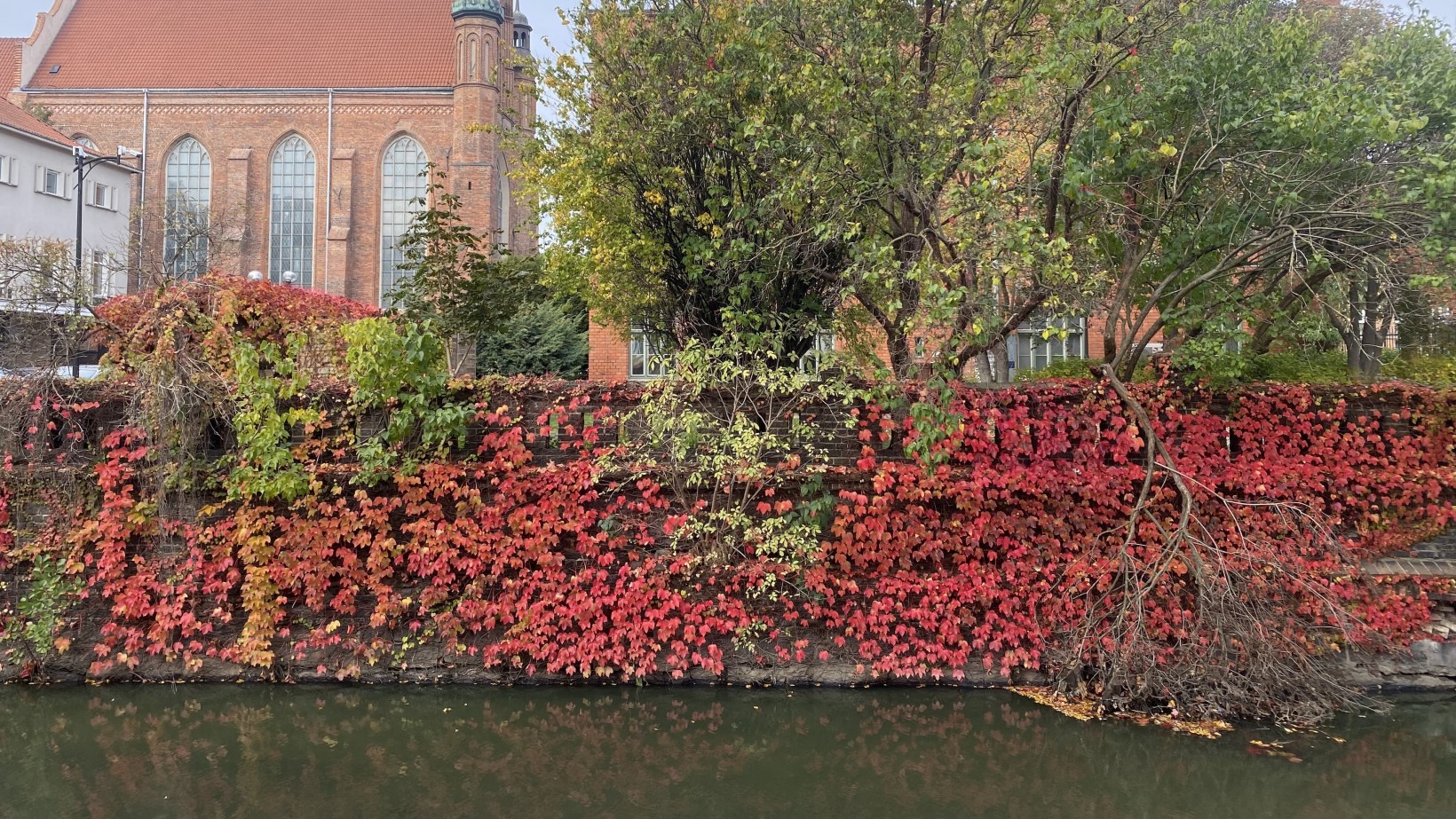 otoczenie_ratusza_jesienia