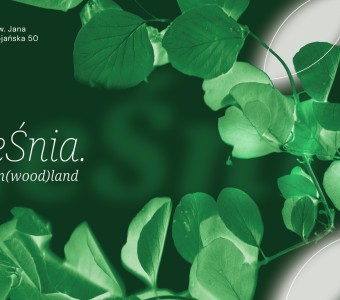 ciemnozielona grafika, zdjęcie lości, w tle blask księżyca