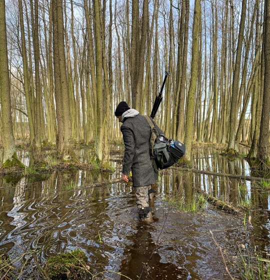 Osoba ubrana w ciemny płaszcz, czapkę i kalosze idzie przez płytką wodę w zalanym lesie. Na ramieniu ma torbę i statyw fotograficzny. Wokół stoją wysokie, bezlistne drzewa, których pnie odbijają się w spokojnej tafli wody.