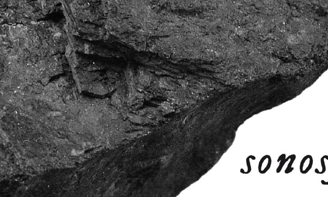 grafika rysunek skali, napis "Sonosfera"